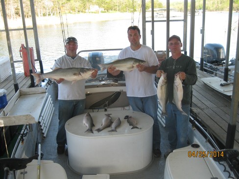 Nice Striped Bass